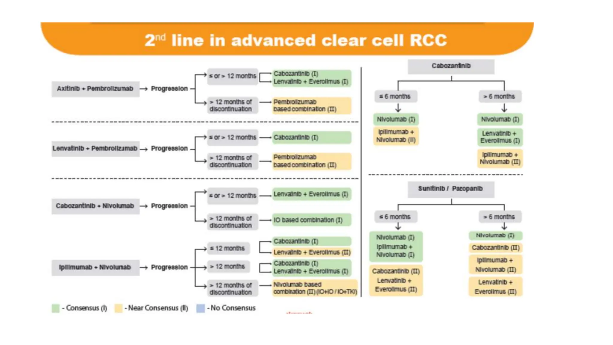 Management of Renal Cell Carcinoma ppt.pptx