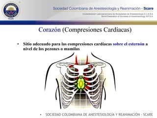 rccp-nuevas-guias-ppt