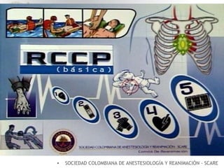 Common Rccp Views Rccp nuevas guias | PPT