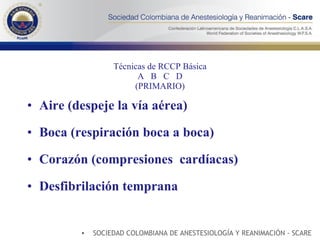 Common Rccp Views Rccp nuevas guias | PPT