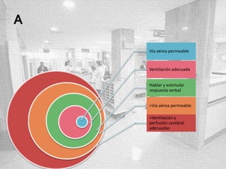 Vía aérea permeable

Ventilación adecuada
Hablar y estimular
respuesta verbal
=Vía aérea permeable
=Ventilación y
perfusión cerebral
adecuadas

 