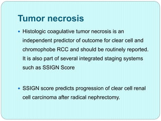 Tumor necrosis
 Histologic coagulative tumor necrosis is an
independent predictor of outcome for clear cell and
chromophobe RCC and should be routinely reported.
It is also part of several integrated staging systems
such as SSIGN Score
 SSIGN score predicts progression of clear cell renal
cell carcinoma after radical nephrectomy.
 