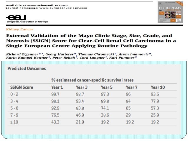 renal cell carcinoma risk stratification kidney score chart