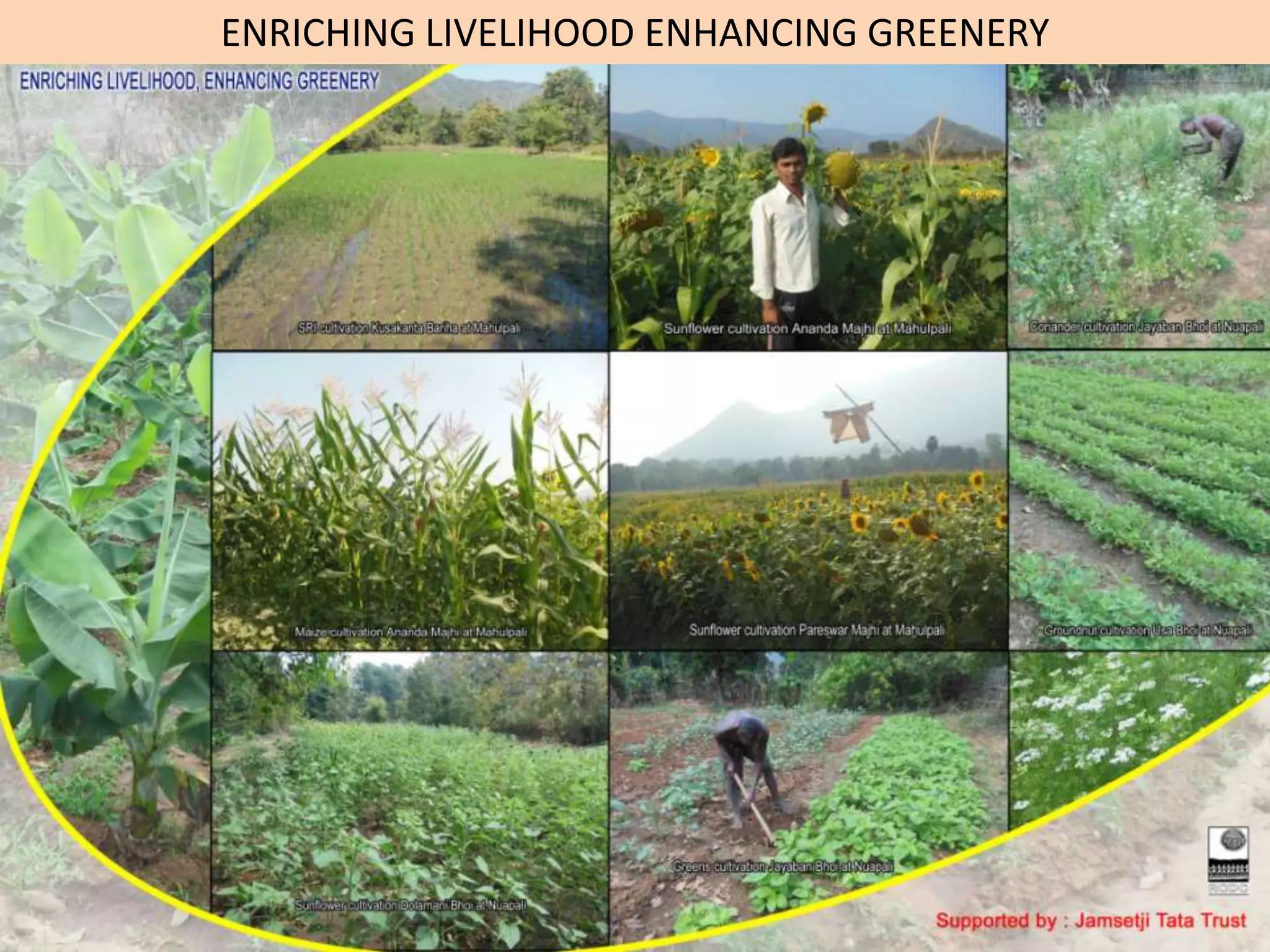 ENRICHING LIVELIHOOD ENHANCING GREENERY
 