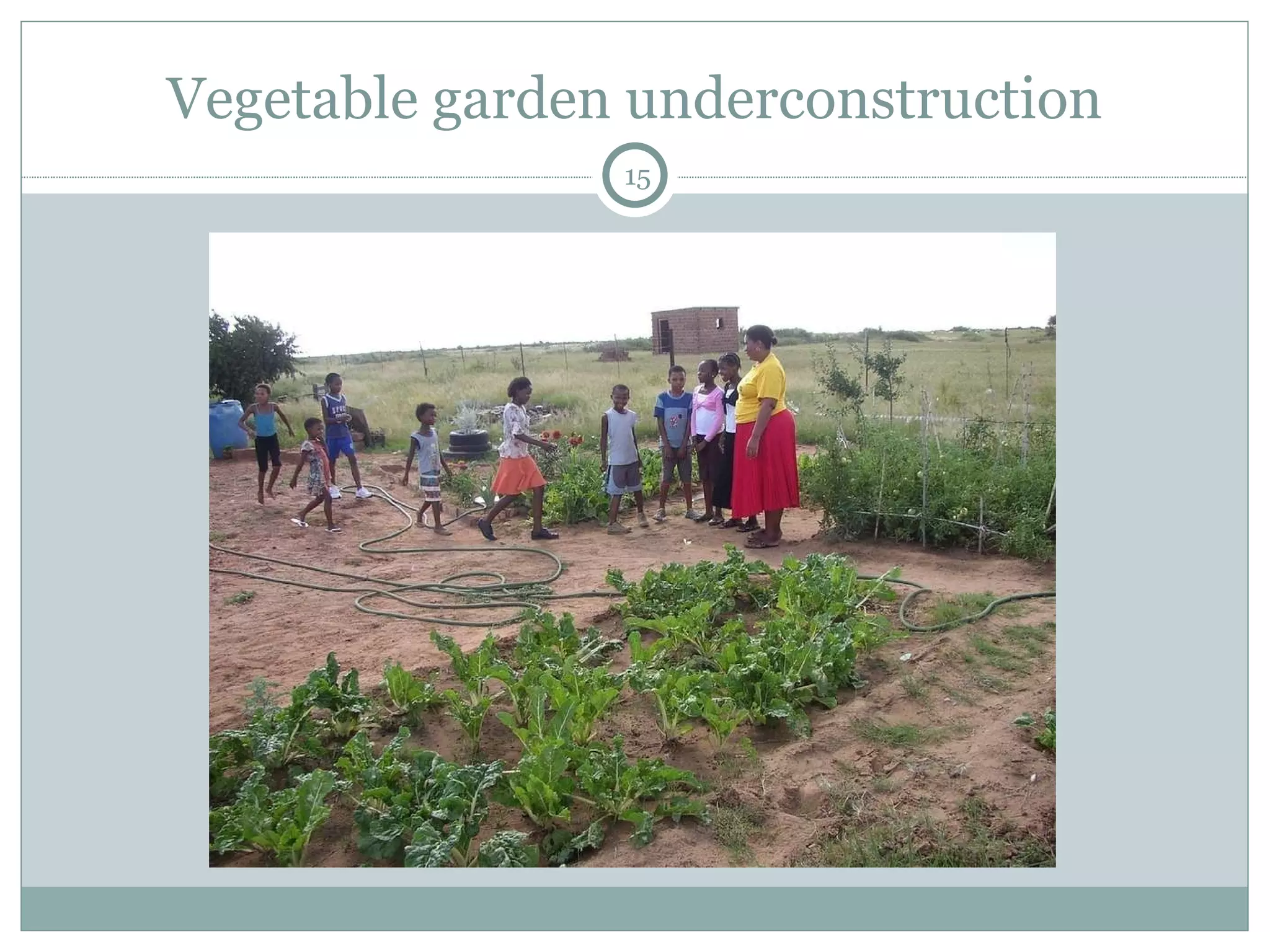 Vegetable garden underconstruction 