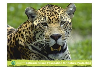 Boticário Group Foundation for Nature Protection
 