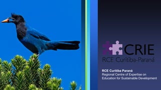 RCE Curitiba Paraná
Regional Centre of Expertise on
Education for Sustainable Development
 