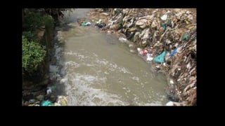 Adopt a River Initiative | PPTX