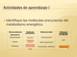 Actividades de aprendizaje I
 Identifique las moléculas precursoras del
metabolismo energético.
Macromolecula
alimenticia
Molécula
precursora
Molécula sillar Molecula
energetica
producida
Carbohidratos Glucosa
Galactosa
Acido pirúvico
ATP
Lipidos Grasas
Acido graso
Acetil Coenzima A
Proteínas Aminoácidos
Urea
Aminoacido, acetilCoA Regresar
 