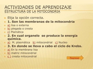 ACTIVIDADES DE APRENDIZAJE
ESTRUCTURA DE LA MITOCONDRIA
 Elija la opción correcta.
 1. Son las membranas de la mitocondria
 a) lisa o externa
 b) plegada o cresta
 c) Plamática
 2. En cual organelo se produce la energía
química.
 a) M. plasmática b) mitocondrial c) Nucleo
 3. En donde se lleva a cabo el ciclo de Krebs.
 a) En la membrana lisa
 b) matriz mitocondrial
 c ) cresta mitocondrial
Regresar
 