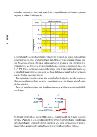 ARTIGO
14
assinalam a amarelo as células onde se verificam incompatibilidades mendelianas e, por con-
seguinte, se terá verificado mutação:
Trios
Genótipo materno
1-1 1-2 2-2
Genótipo
paterno
1-1
1-1 1-1 1-1
1-2 1-2 1-2
2-2 2-2 2-2
1-2
1-1 1-1 1-1
1-2 1-2 1-2
2-2 2-2 2-2
2-2
1-1 1-1 1-1
1-2 1-2 1-2
2-2 2-2 2-2
A estimativa da frequência das mutações (vulgarmente designada por taxa de mutação) nesta
amostra será, pois, obtida simplesmente pelo somatório das frequências das células a ama-
relo (Na verdade, embora este seja o processo comum de proceder a esta estimativa, deve-
mos esclarecer que é incorreto; em algumas células (por exemplo na correspondente ao trio
1-1/1-1/2-2, terão corrido duas mutações), bem como o total de observações a considerar não
é o total de trios contabilizado, mas sim o seu dobro, dado que em cada trio observamos dois
eventos de cópia, paterna e materna).
Esta estimativa é, no entanto, enviesada: vamos finalmente abordar a questão sugerida no
título: as mutações escondidas, que serão essenciais para uma estimativa correta da frequên-
cia das mutações.
Para isso suponhamos agora uma situação em que não se verifique uma incompatibilidade
mendeliana:
Neste caso, a interpretação mais tentadora, que não invoca mutação, é a de que a sequência
com C na 5.ª posição da sequência do descendente tenha sido transmitida pelo verdadeiro pai,
como ilustrado pelas setas verdes. Existe, no entanto, uma outra, como evidenciado pelas se-
tas vermelhas, que demonstra a possibilidade da ocorrência (escondida) de mutação.
 