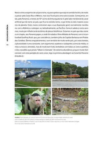 AOS
OLHOS
DA
CIÊNCIA
44
Nestacrónicaviajamosdesulparanorte,equaseapetecequesejanosentidohorário,demodo
a passar pela Costa Rica e México, mas isso ficará para uma outra ocasião. Começamos, en-
tão, pelo Panamá, a menos de 10° acima da linha equatorial. E pelo lado meridional do canal
artificial que dá nome ao país, que fica no estreito istmo, e que limita os dois maiores ocea-
nos do planeta. Estes mares contrariam aqui a sua disposição geral, normalmente meridia-
na, com o Atlântico a sobrepor-se, latitudinalmente, ao Pacífico. Como é sabido e como vere-
mos, muito por influência da tectónica de placas litosféricas. Estamos no país que deu nome
a um chapéu, aos Panama papers, e onde foi rodado o filme Alfaiate do Panamá, com o incon-
fundível Geoffrey Rush, que, por coincidência, também já fez de Capitão Barbossa em Piratas
das Caraíbas. Ótimos enquadramentos, num território de muito verde pois, por estas bandas,
a pluviosidade é uma constante, com organismos voadores e rastejantes acima da média, sí-
mios curiosos e atrevidos, mas de muito bom trato, borboletas com todas as cores e padrões,
e dos crocodilos que jamais “faltam à chamada”. De extrema abundância, já que é muito fácil
conviver com esta panóplia de seres vivos, logo na primeira abordagem ao Canal do Panamá
(FIGURA 2).
A) B)
C) D)
FIGURA 2. Particularidades do Canal do Panamá. A) Esclusa de Água Clara, na extremidade caribenha do canal,
junto à cidade de Colón. B) O clássico comboio que liga as cidades de Colón e do Panamá, ou seja,
entre os oceanos Atlântico e Pacífico, e que circula junto ao canal. C) Cebus capucinus, um dos muitos habitantes da região.
D) Um dos outros habitantes do canal.
 