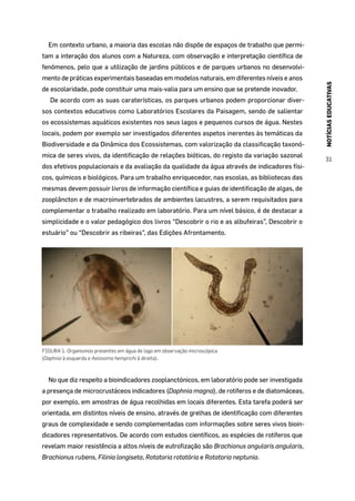 NOTÍCIASEDUCATIVAS
31
Em contexto urbano, a maioria das escolas não dispõe de espaços de trabalho que permi-
tam a interação dos alunos com a Natureza, com observação e interpretação científica de
fenómenos, pelo que a utilização de jardins públicos e de parques urbanos no desenvolvi-
mento de práticas experimentais baseadas em modelos naturais, em diferentes níveis e anos
de escolaridade, pode constituir uma mais-valia para um ensino que se pretende inovador.
De acordo com as suas caraterísticas, os parques urbanos podem proporcionar diver-
sos contextos educativos como Laboratórios Escolares da Paisagem, sendo de salientar
os ecossistemas aquáticos existentes nos seus lagos e pequenos cursos de água. Nestes
locais, podem por exemplo ser investigados diferentes aspetos inerentes às temáticas da
Biodiversidade e da Dinâmica dos Ecossistemas, com valorização da classificação taxonó-
mica de seres vivos, da identificação de relações bióticas, do registo da variação sazonal
dos efetivos populacionais e da avaliação da qualidade da água através de indicadores físi-
cos, químicos e biológicos. Para um trabalho enriquecedor, nas escolas, as bibliotecas das
mesmas devem possuir livros de informação científica e guias de identificação de algas, de
zooplâncton e de macroinvertebrados de ambientes lacustres, a serem requisitados para
complementar o trabalho realizado em laboratório. Para um nível básico, é de destacar a
simplicidade e o valor pedagógico dos livros “Descobrir o rio e as albufeiras”, Descobrir o
estuário” ou “Descobrir as ribeiras”, das Edições Afrontamento.
FIGURA 1. Organismos presentes em água de lago em observação microscópica
(Daphnia à esquerda e Aelosoma hemprichi à direita).
No que diz respeito a bioindicadores zooplanctónicos, em laboratório pode ser investigada
a presença de microcrustáceos indicadores (Daphnia magna), de rotíferos e de diatomáceas,
por exemplo, em amostras de água recolhidas em locais diferentes. Esta tarefa poderá ser
orientada, em distintos níveis de ensino, através de grelhas de identificação com diferentes
graus de complexidade e sendo complementadas com informações sobre seres vivos bioin-
dicadores representativos. De acordo com estudos científicos, as espécies de rotíferos que
revelam maior resistência a altos níveis de eutrofização são Brachionus angularis angularis,
Brachionus rubens, Filinia longiseta, Rotatoria rotatória e Rotatoria neptunia.
 