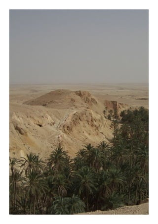 AOSOLHOSDACIÊNCIA
42
 