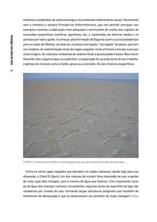 AOSOLHOSDACIÊNCIA
44
melhores compêndios de sedimentologia e de ambientes sedimentares atuais. Novamente,
vem à memória o sempre Princípio do Uniformitarismo, que nos permite averiguar nos
exemplos recentes a explicação mais adequada e convincente de muitos dos registos de
sucessões evaporíticas (salíferas, gipsíferas, etc…), conhecidas de diversas idades e re-
partidas por todo o globo. A começar pela Formação de Dagorda (com a sua localidade tipo
para os lados de Óbidos), da base do Jurássico português, “carregada” de gesso, que tem
nos modelos de sedimentação atual dos lagos salgados norte africanos uma das suas pos-
síveis origens. Os clássicos ambientes de sabkha! Onde a pluviosidade é baixa. Mas chove!
Havendo sais e alguma água na superfície, a evaporação faz grande parte do seu trabalho:
a génese de minerais como a halite, gesso ou a carnalite. Os tais minerais evaporíticos.
FIGURA 1. O imenso Chott El Djerid: crostas hexagonais de sais que resultam de períodos de dessecação.
Entre os vários lagos salgados que abundam na região sobressai, desde logo pela sua
dimensão, o Chott El Djerid. Um dos maiores do mundo! Uma imensidão de sais a perder
de vista, qual bela miragem, pois é mesmo de água que falamos. Com importante recar-
ga de água dos maciços rochosos circundantes, algumas áreas da superfície do lago são
recobertas por crostas de sais, formando largas estruturas poligonais que resultam de
fenómenos de dessecação e que se desenvolvem em períodos de maior estiagem (FIGU-
 