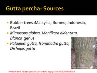  Rubber trees :Malaysia, Borneo, Indonesia,
Brazil
 Mimusops globsa, Manilkara bidentata,
Blanco genus
 Palaqium gutta, Isonanadra gutta,
Dichopis gutta
Prakash et al. Gutta- percha: An untold story- ENDODONTOLOGY
 