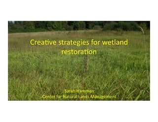 Crea%ve	strategies	for	wetland	
restora%on	
Sarah	Hamman	
Center	for	Natural	Lands	Management	
 
