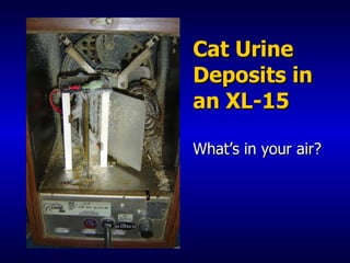 Cat Urine Deposits in an XL-15 What’s in your air? 