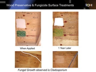 Wood Preservative & Fungicide Surface Treatments
When Applied 1 Year Later
Fungal Growth observed is Cladosporium
 