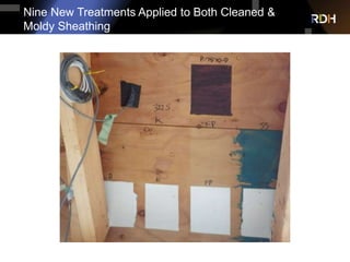 Nine New Treatments Applied to Both Cleaned &
Moldy Sheathing
 