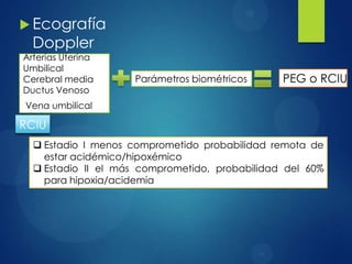  Ecografía
Doppler
Arterias Uterina
Umbilical
Cerebral media
Ductus Venoso
Vena umbilical
Parámetros biométricos PEG o RCIU
RCIU
 Estadio I menos comprometido probabilidad remota de
estar acidémico/hipoxémico
 Estadio II el más comprometido, probabilidad del 60%
para hipoxia/acidemia
 