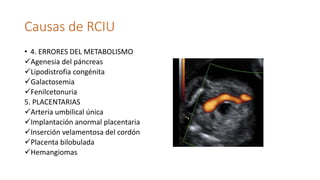 Causas de RCIU
• 4. ERRORES DEL METABOLISMO
Agenesia del páncreas
Lipodistrofia congénita
Galactosemia
Fenilcetonuria
...