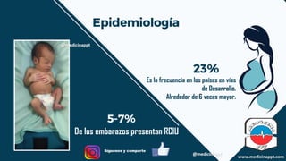 RCIU.pdf