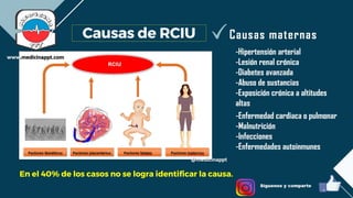 RCIU.pdf