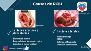 RCIU.pdf