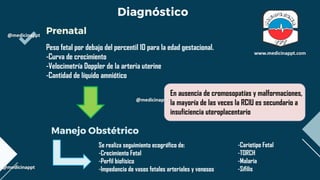 RCIU.pdf