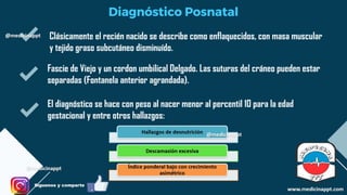 RCIU.pdf