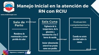 RCIU.pdf