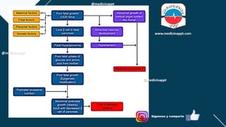 RCIU.pdf