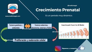 RCIU.pdf