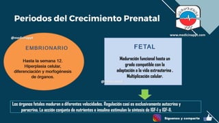 RCIU.pdf