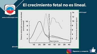 RCIU.pdf
