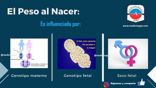 RCIU.pdf