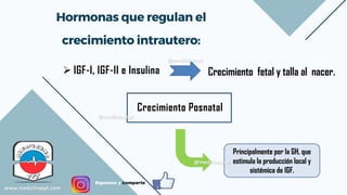RCIU.pdf