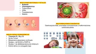 ANEUPLOIDÍAS CROMOSÓMICAS
• Trisomía 21, 18 y 13
• Sd de Turner
• Mosaicismo placentario confinado
• Niveles ↓ de B-hCG y PAPP-A
• Niveles ↑ de alfafetoproteína de inhibina A
• Estriol sérico no conjugado bajo
INFECCIONES MATERNAS Y FETALES:
• Rubeola
• Citomegalovirus
• Tuberculosis
• Sífilis
• Toxoplasmosis
• Malaria
MALFORMACIONES CONGÉNITAS
Gastrosquisis fetal, anomalías cromosómicas o malformaciones
cardiovasculares
 