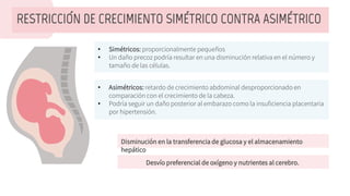 • Simétricos: proporcionalmente pequen
̃ os
• Un dan
̃ o precoz podría resultar en una disminución relativa en el número y
taman
̃ o de las células.
RESTRICCIÓN DE CRECIMIENTO SIMÉTRICO CONTRA ASIMÉTRICO
• Asimétricos: retardo de crecimiento abdominal desproporcionado en
comparación con el crecimiento de la cabeza.
• Podría seguir un dan
̃ o posterior al embarazo como la insuficiencia placentaria
por hipertensión.
Disminución en la transferencia de glucosa y el almacenamiento
hepático
Desvío preferencial de oxígeno y nutrientes al cerebro.
 