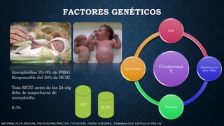 9.3%
FACTORES GENÉTICOS
Cromosoma
Y
FGR
Diferencia de
peso 150g
Trisomias
Aneuploidias
Aneuploidias 2%-5% de PBEG
Responsa...