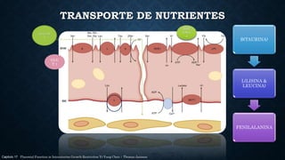 TRANSPORTE DE NUTRIENTES
Capitulo 17 Placental Function in Intrauterine Growth Restriction Yi-Yung Chen | Thomas Jansson
G...