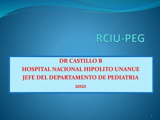 DR CASTILLO B
HOSPITAL NACIONAL HIPOLITO UNANUE
JEFE DEL DEPARTAMENTO DE PEDIATRIA
2021
1
 