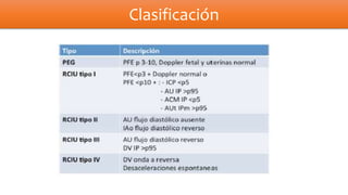 Rciu final | PPTX