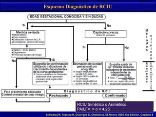 Esquema Diagnóstico de RCIU
DIAGNÓSTICO
Schwarcz R, Fescina R, Duverges C, Obsteticia, El Ateneo 2005, 6ta Edición, Capítulo 8
RCIU Simétrico o Asimétrico
PA/LF= > o < 4.25
 
