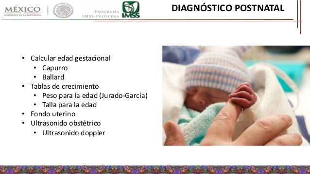 Gris HEALLILY Coj/ín de Ajuste Del Cintur/ón Del Coche de Maternidad para El Vientre de Las Madres Embarazadas