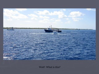 Wait!  What is this? 