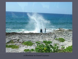 A Blowhole in Grand Cayman 