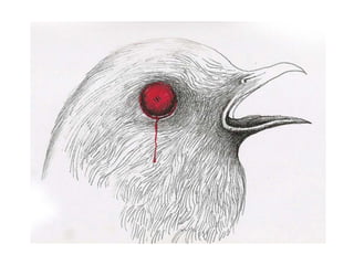 Ilustração - Ricardo Cunha Lima