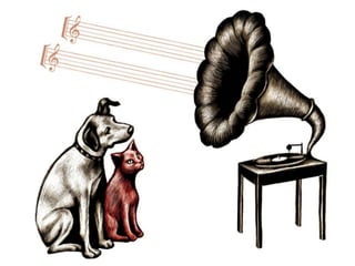 Ilustração - Ricardo Cunha Lima